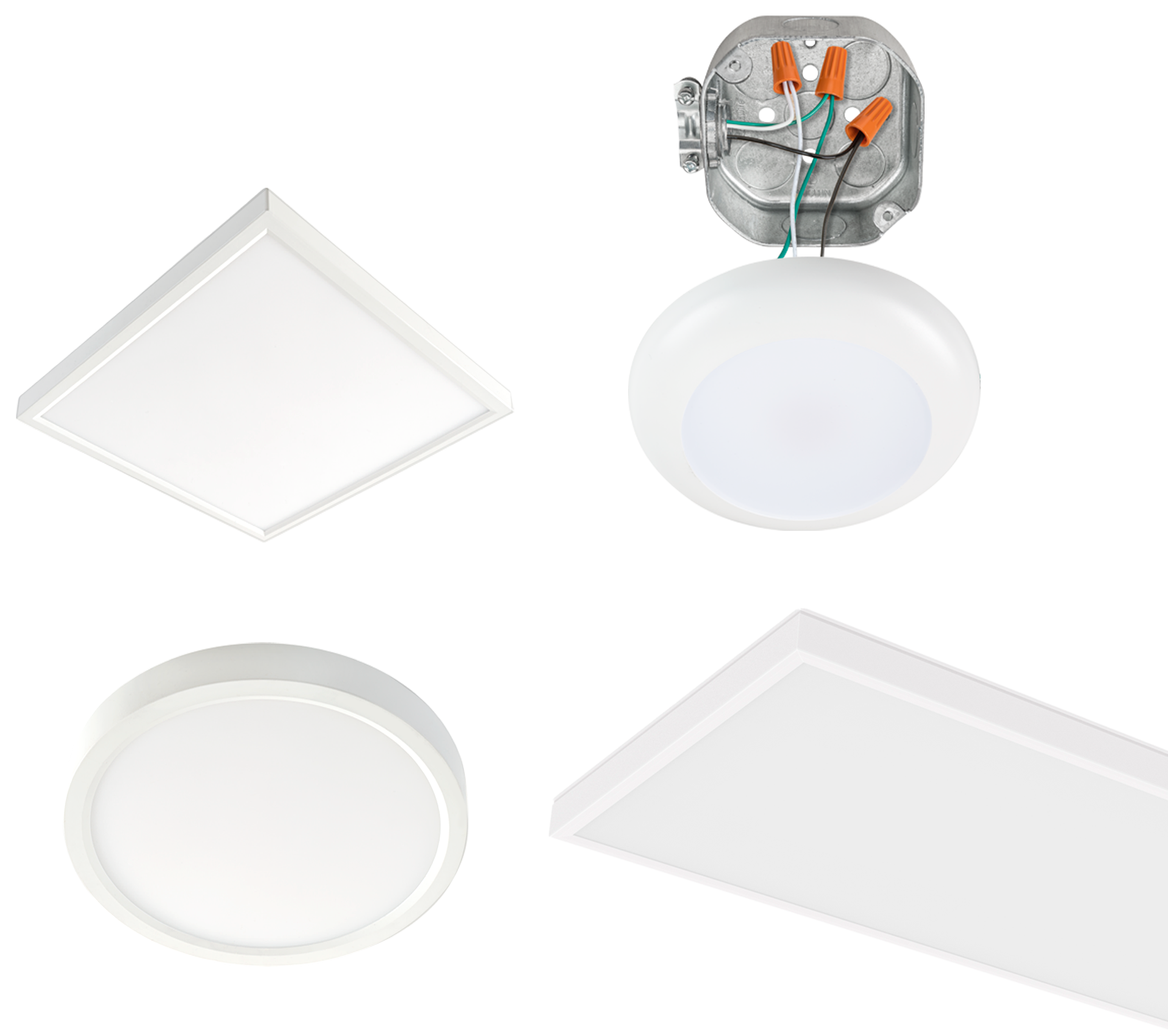 led downlights ova group