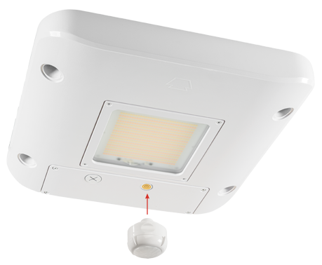 Keystone’s Gas Station Canopy Fixture: High-Performance Lighting